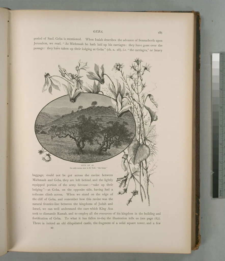 An illustration from Picturesque Palestine, Sinai and Egypt, 1881, leaf 121