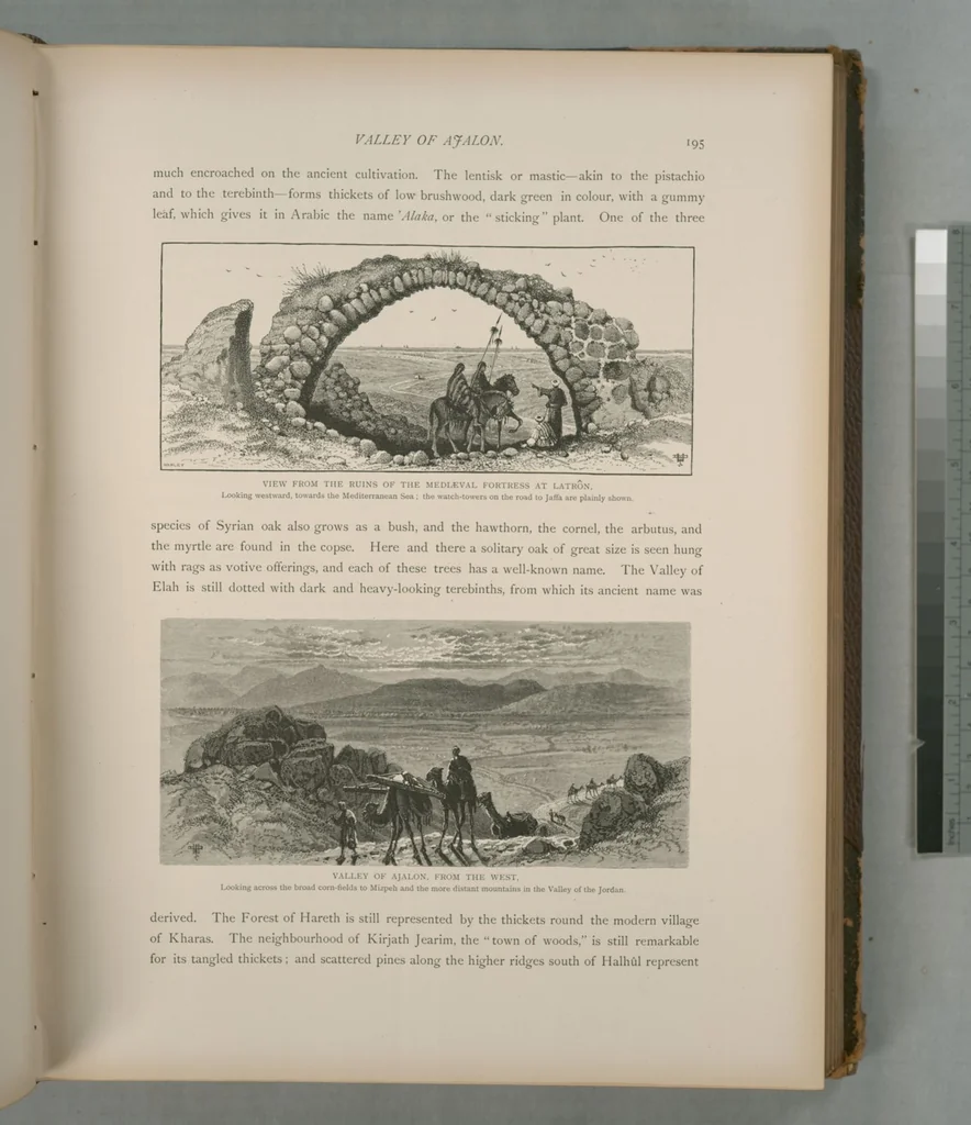 An illustration from Picturesque Palestine, Sinai and Egypt, 1881, leaf 130