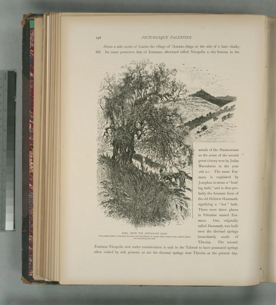 An illustration from Picturesque Palestine, Sinai and Egypt, 1881, leaf 131