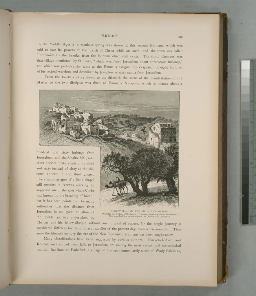 An illustration from Picturesque Palestine, Sinai and Egypt, 1881, leaf 132