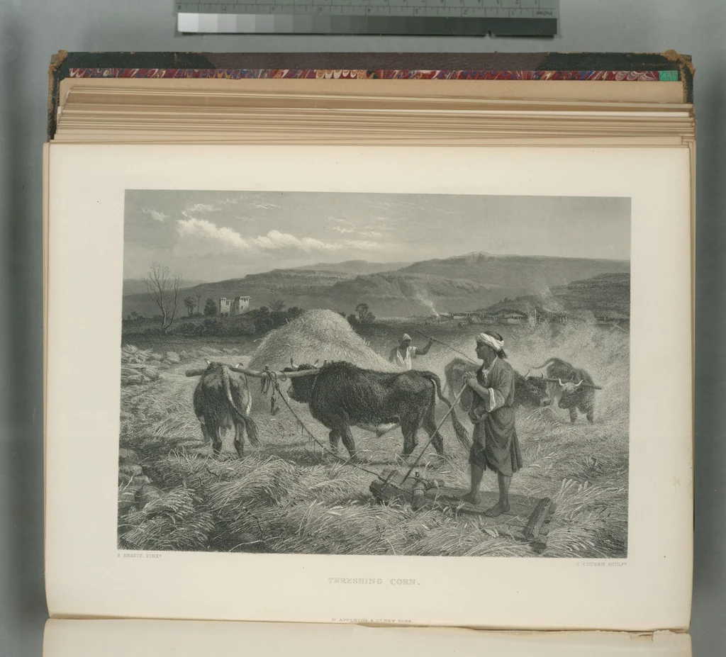 An illustration from Picturesque Palestine, Sinai and Egypt, 1881, leaf 133