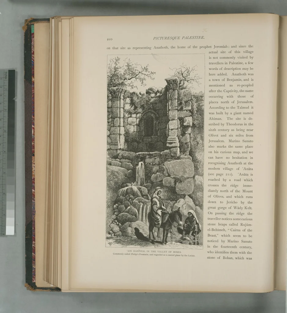 An illustration from Picturesque Palestine, Sinai and Egypt, 1881, leaf 139