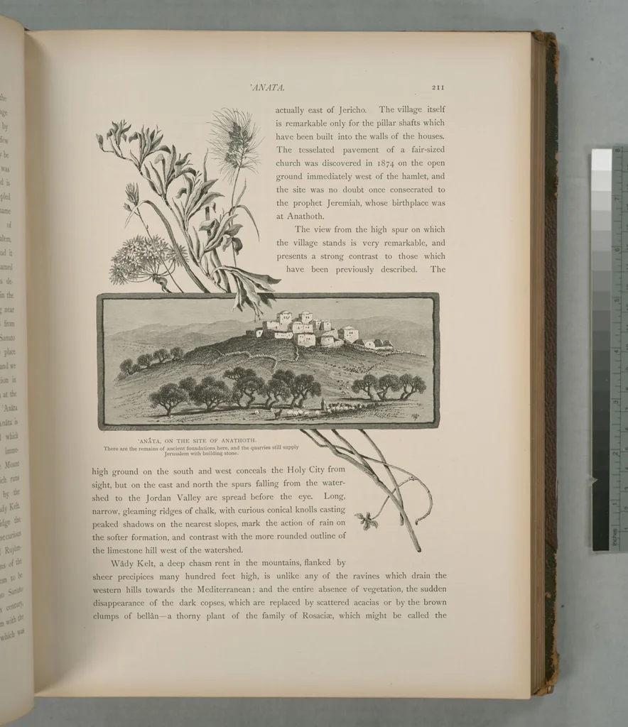 An illustration from Picturesque Palestine, Sinai and Egypt, 1881, leaf 140