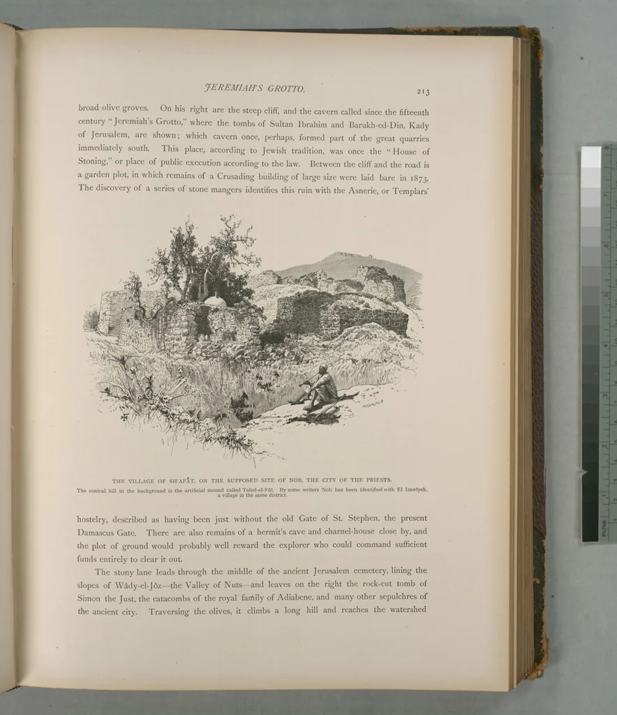 An illustration from Picturesque Palestine, Sinai and Egypt, 1881, leaf 141