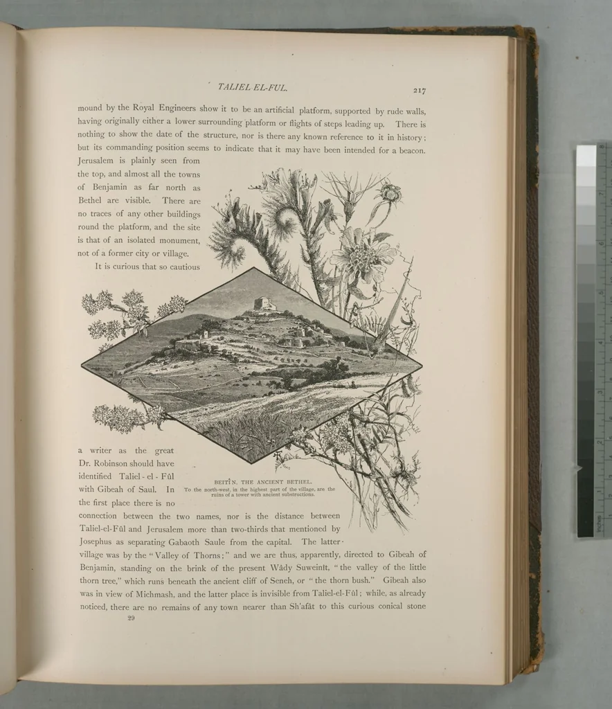 An illustration from Picturesque Palestine, Sinai and Egypt, 1881, leaf 145