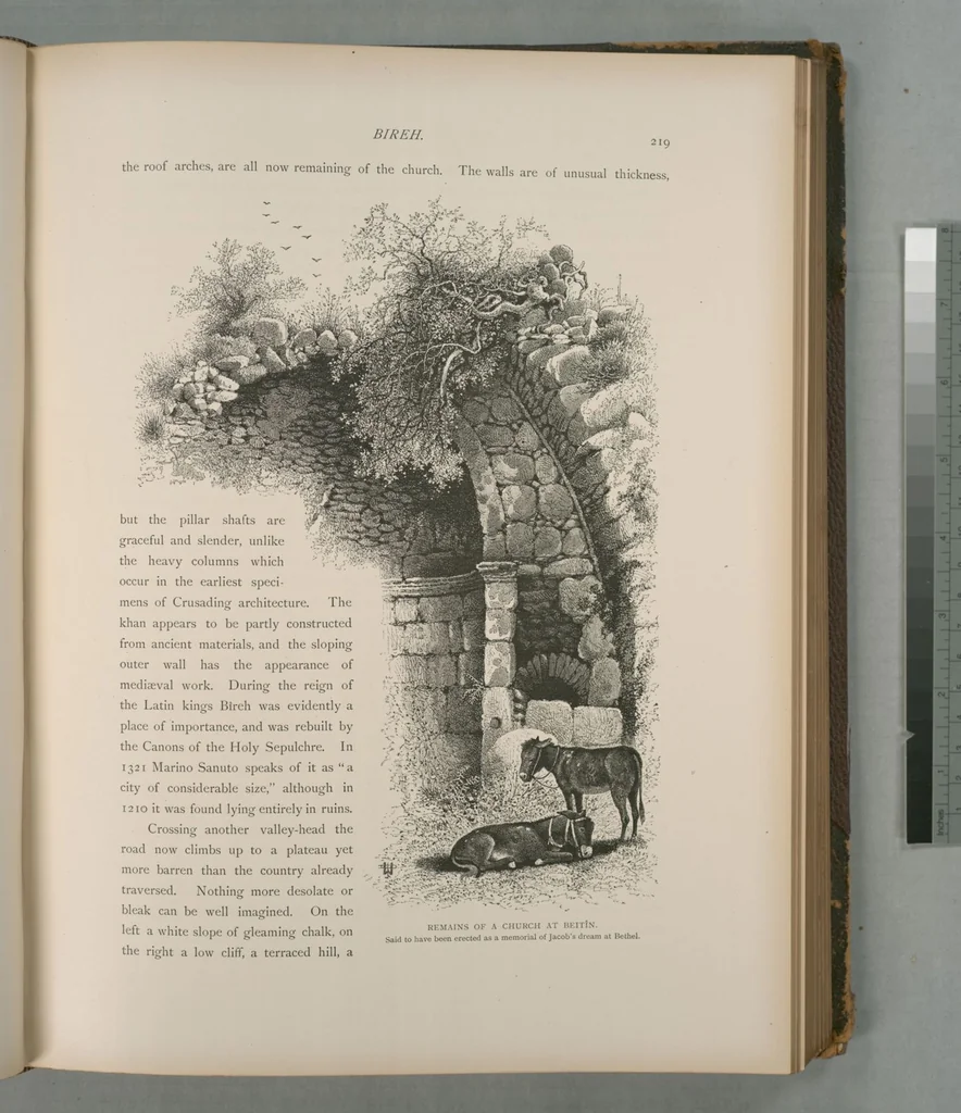 An illustration from Picturesque Palestine, Sinai and Egypt, 1881, leaf 146