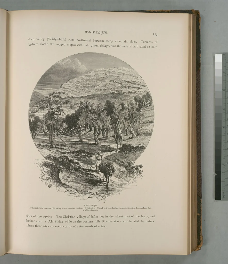 An illustration from Picturesque Palestine, Sinai and Egypt, 1881, leaf 148