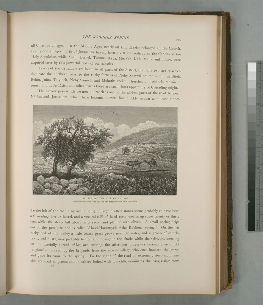 An illustration from Picturesque Palestine, Sinai and Egypt, 1881, leaf 149