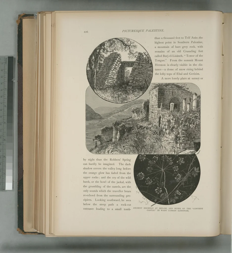 An illustration from Picturesque Palestine, Sinai and Egypt, 1881, leaf 150