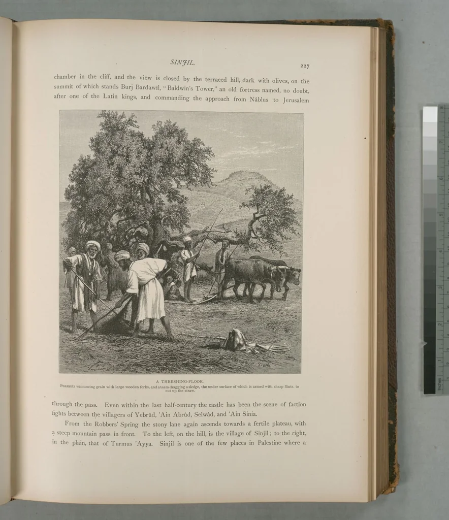 An illustration from Picturesque Palestine, Sinai and Egypt, 1881, leaf 151