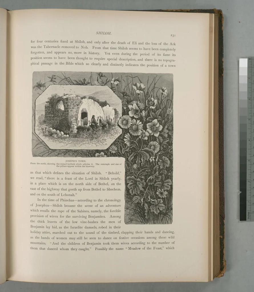 An illustration from Picturesque Palestine, Sinai and Egypt, 1881, leaf 153