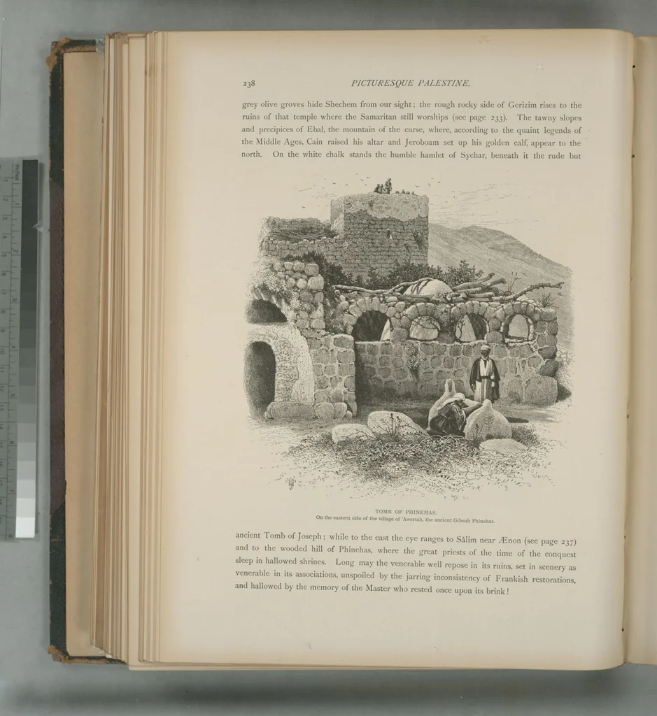 An illustration from Picturesque Palestine, Sinai and Egypt, 1881, leaf 156
