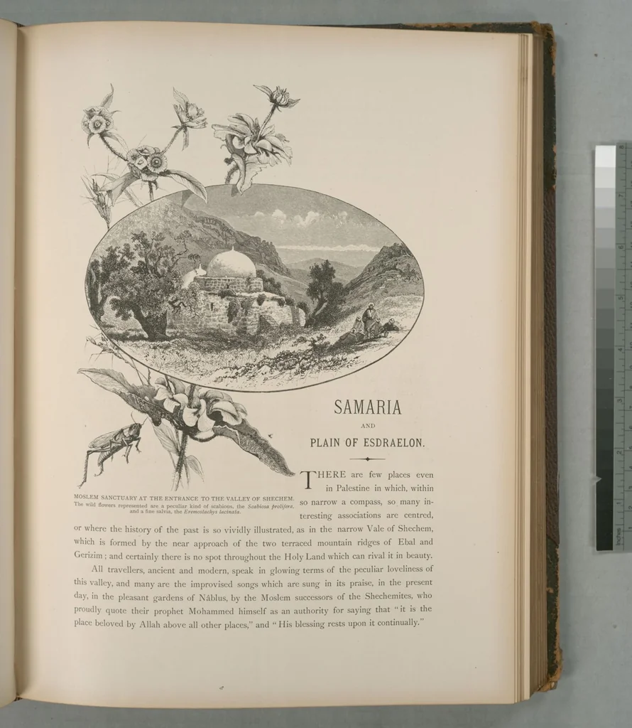 An illustration from Picturesque Palestine, Sinai and Egypt, 1881, leaf 157