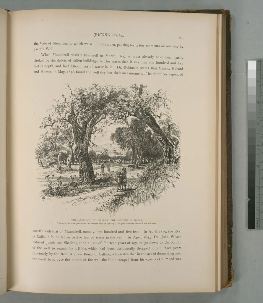 An illustration from Picturesque Palestine, Sinai and Egypt, 1881, leaf 159
