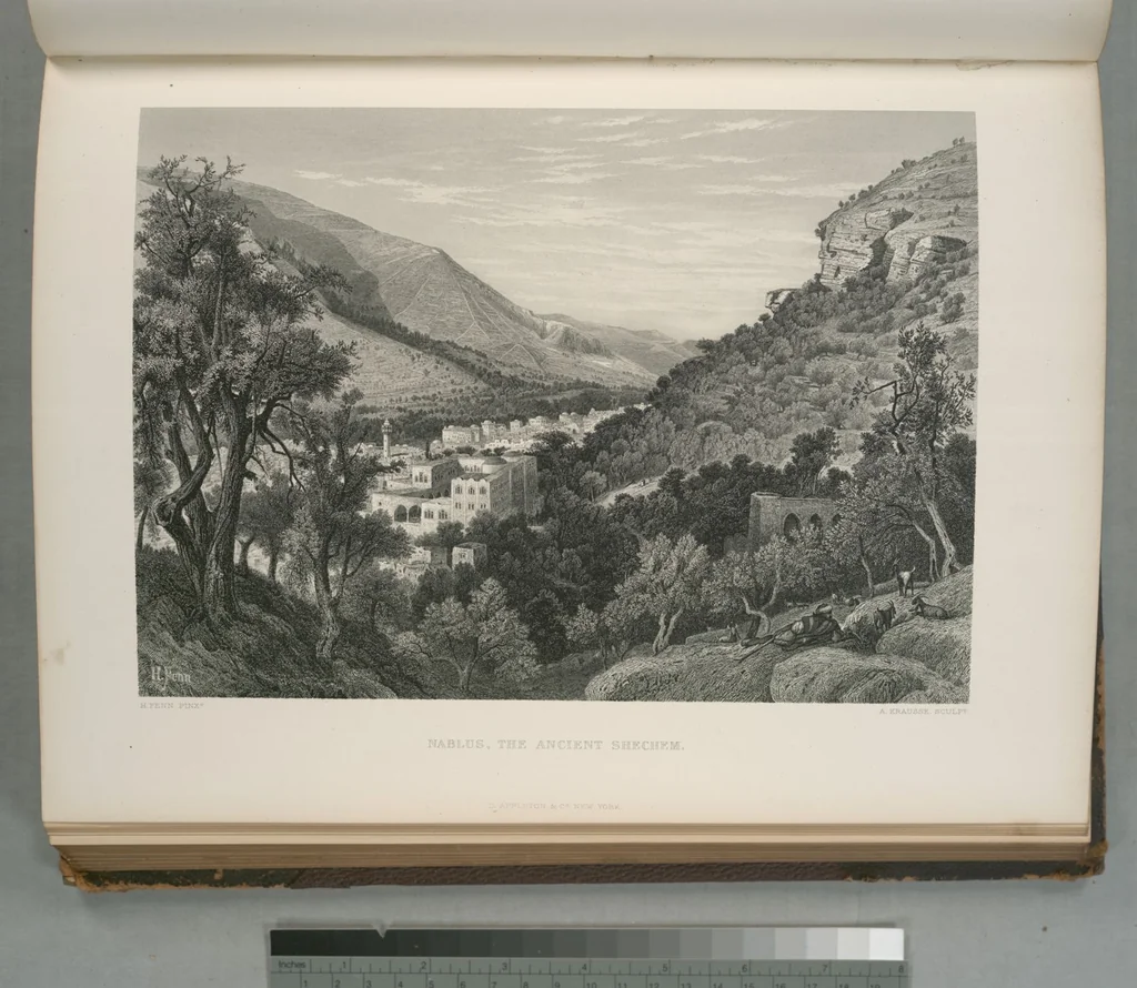An illustration from Picturesque Palestine, Sinai and Egypt, 1881, leaf 162