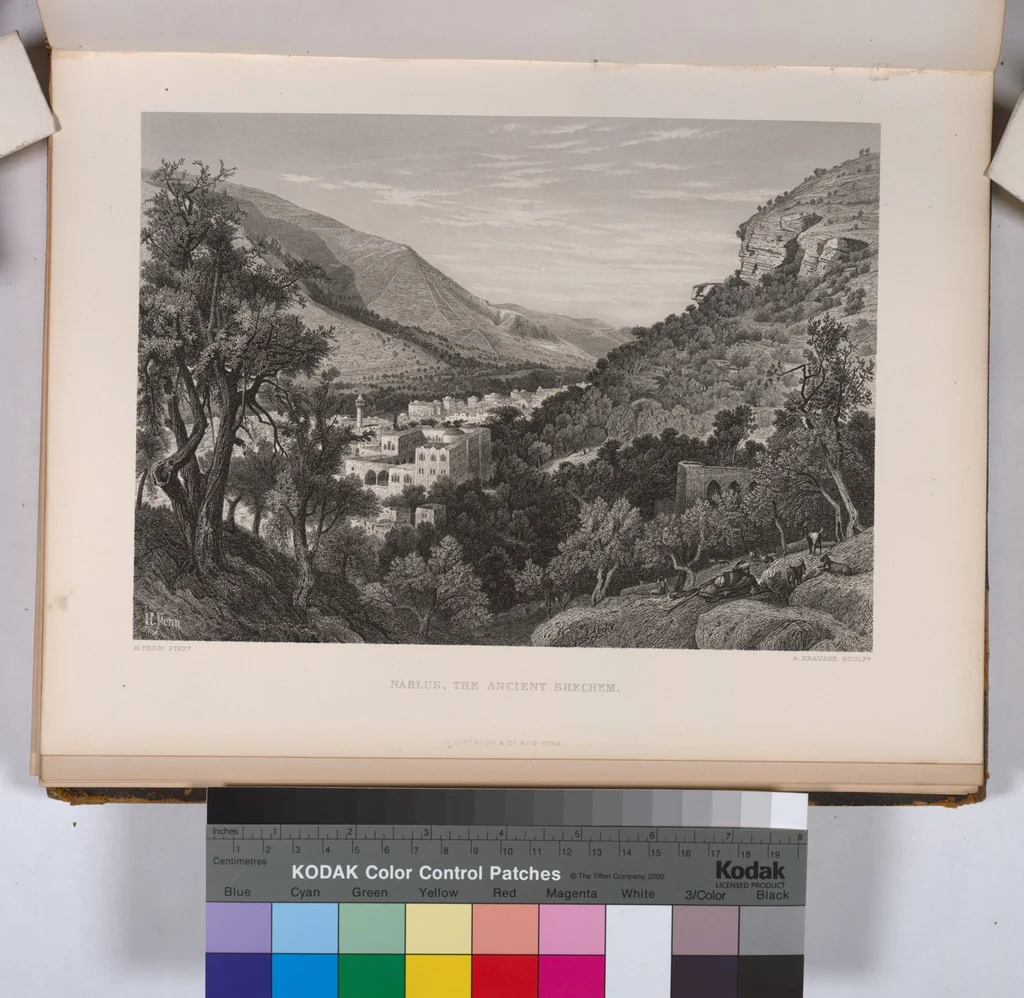An illustration from Picturesque Palestine, Sinai and Egypt, 1881, leaf 163
