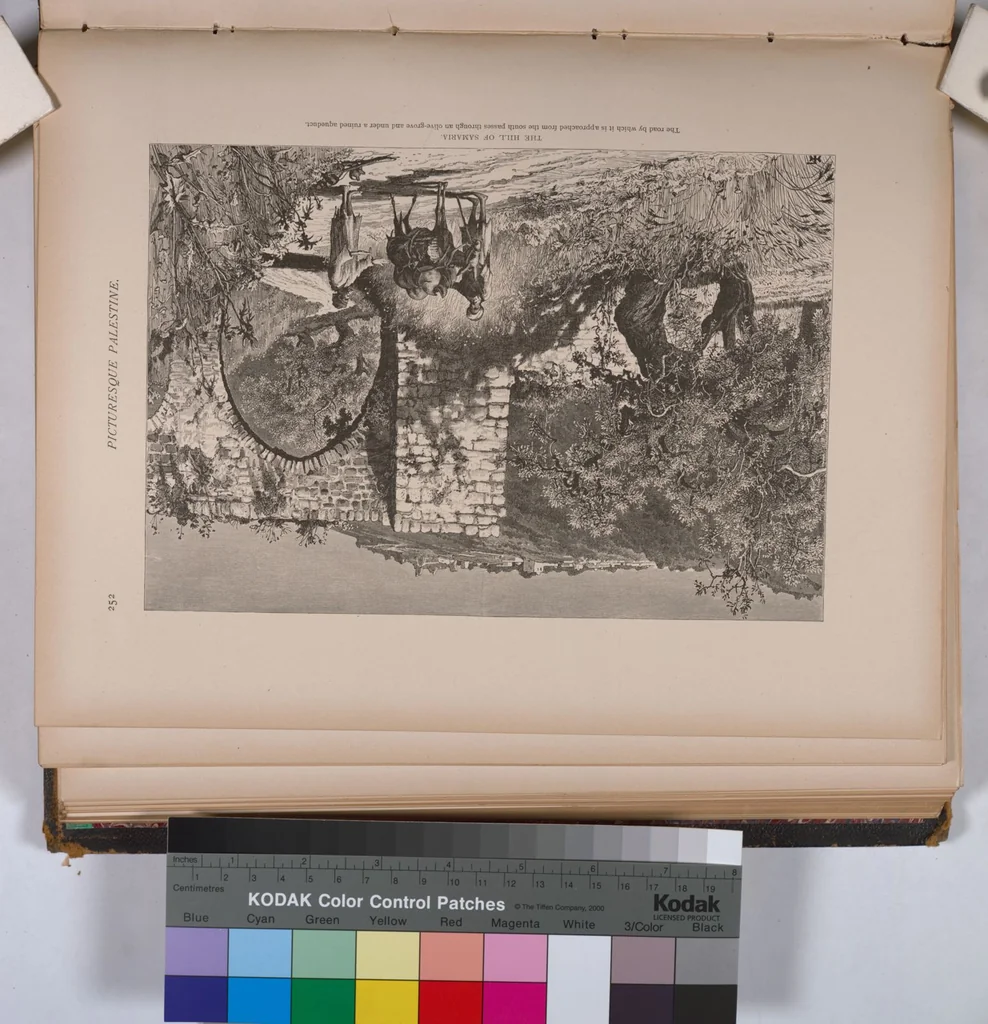 An illustration from Picturesque Palestine, Sinai and Egypt, 1881, leaf 165