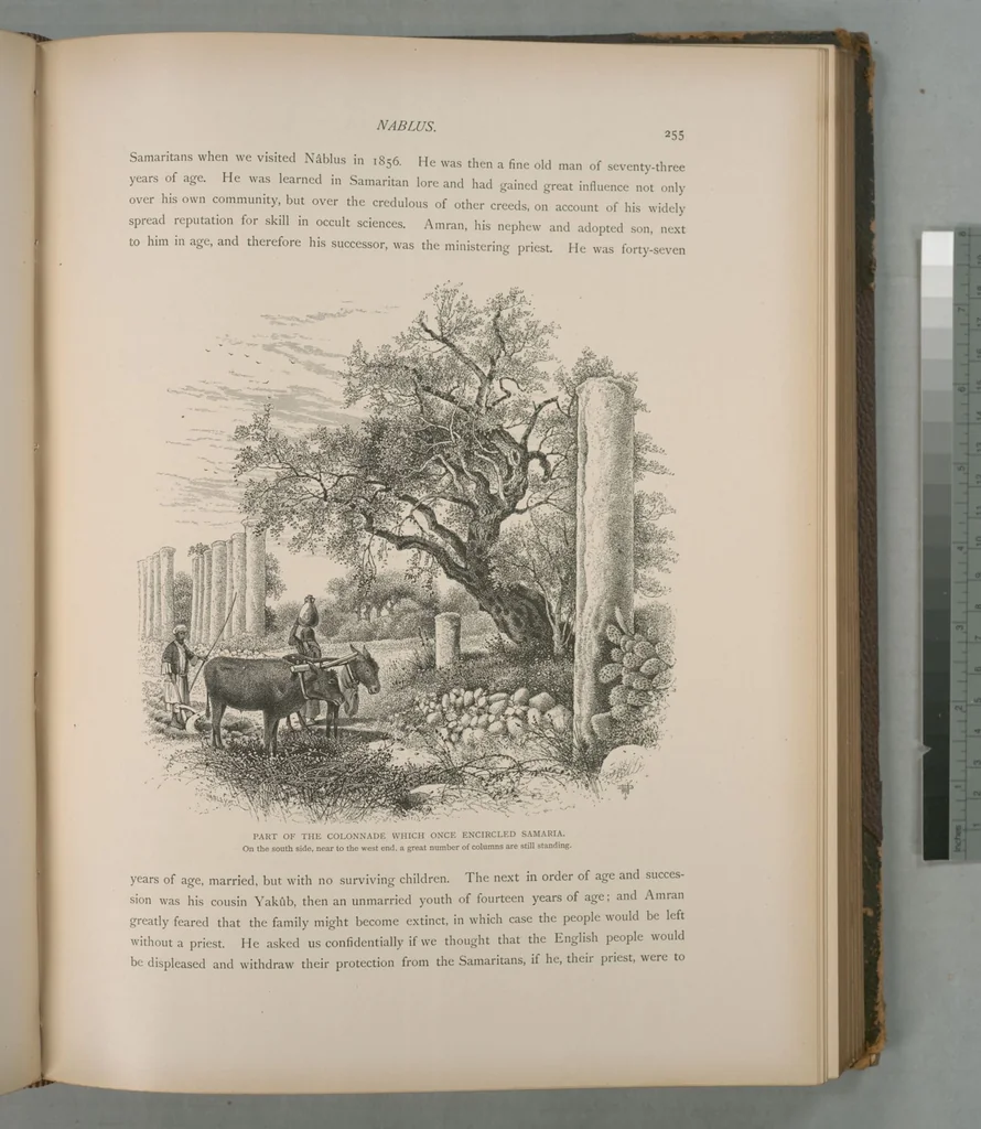 An illustration from Picturesque Palestine, Sinai and Egypt, 1881, leaf 167
