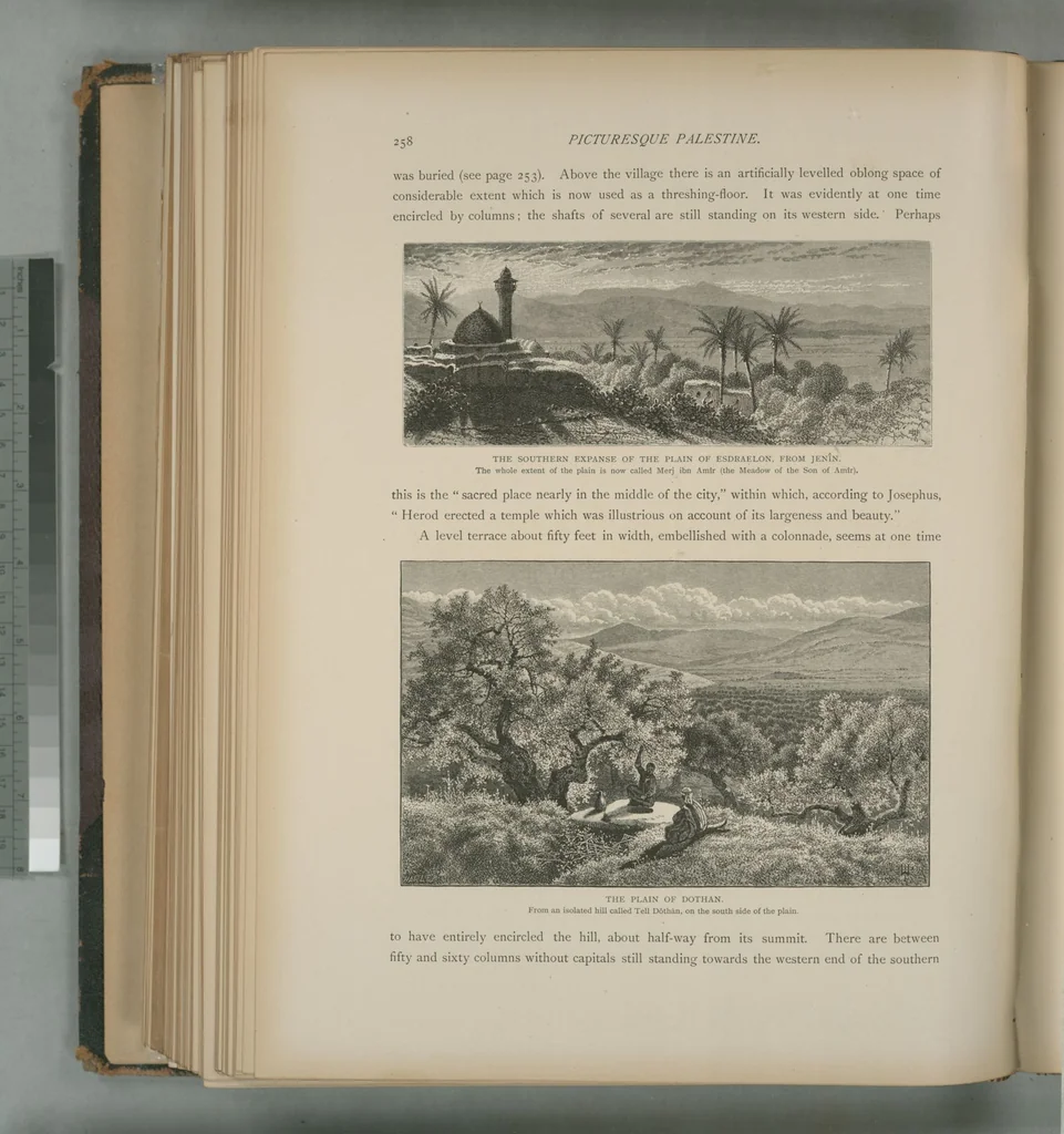 An illustration from Picturesque Palestine, Sinai and Egypt, 1881, leaf 168