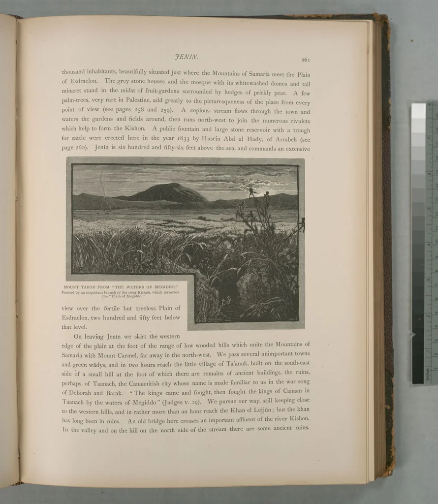 An illustration from Picturesque Palestine, Sinai and Egypt, 1881, leaf 172