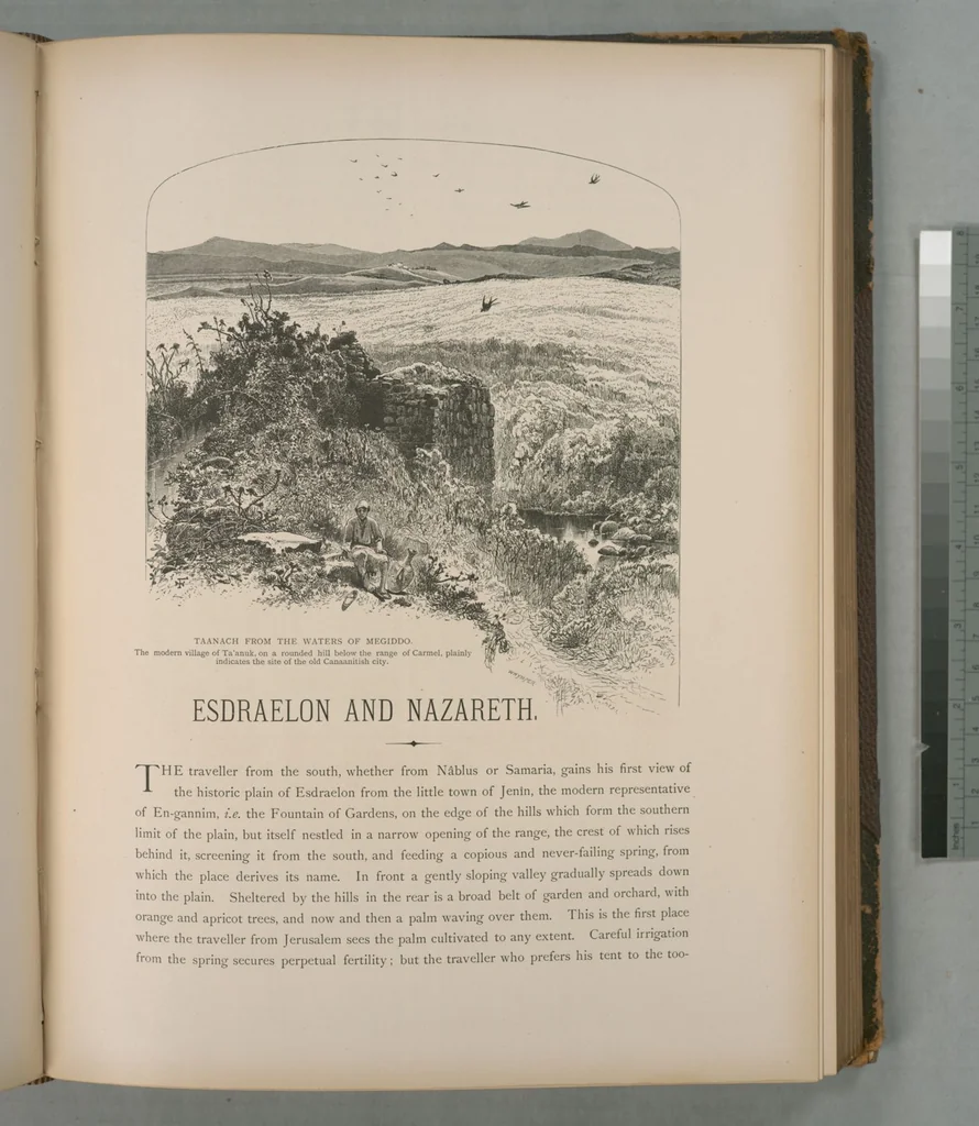An illustration from Picturesque Palestine, Sinai and Egypt, 1881, leaf 174