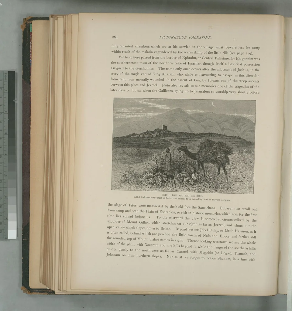 An illustration from Picturesque Palestine, Sinai and Egypt, 1881, leaf 175