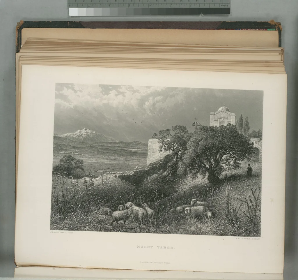 An illustration from Picturesque Palestine, Sinai and Egypt, 1881, leaf 176