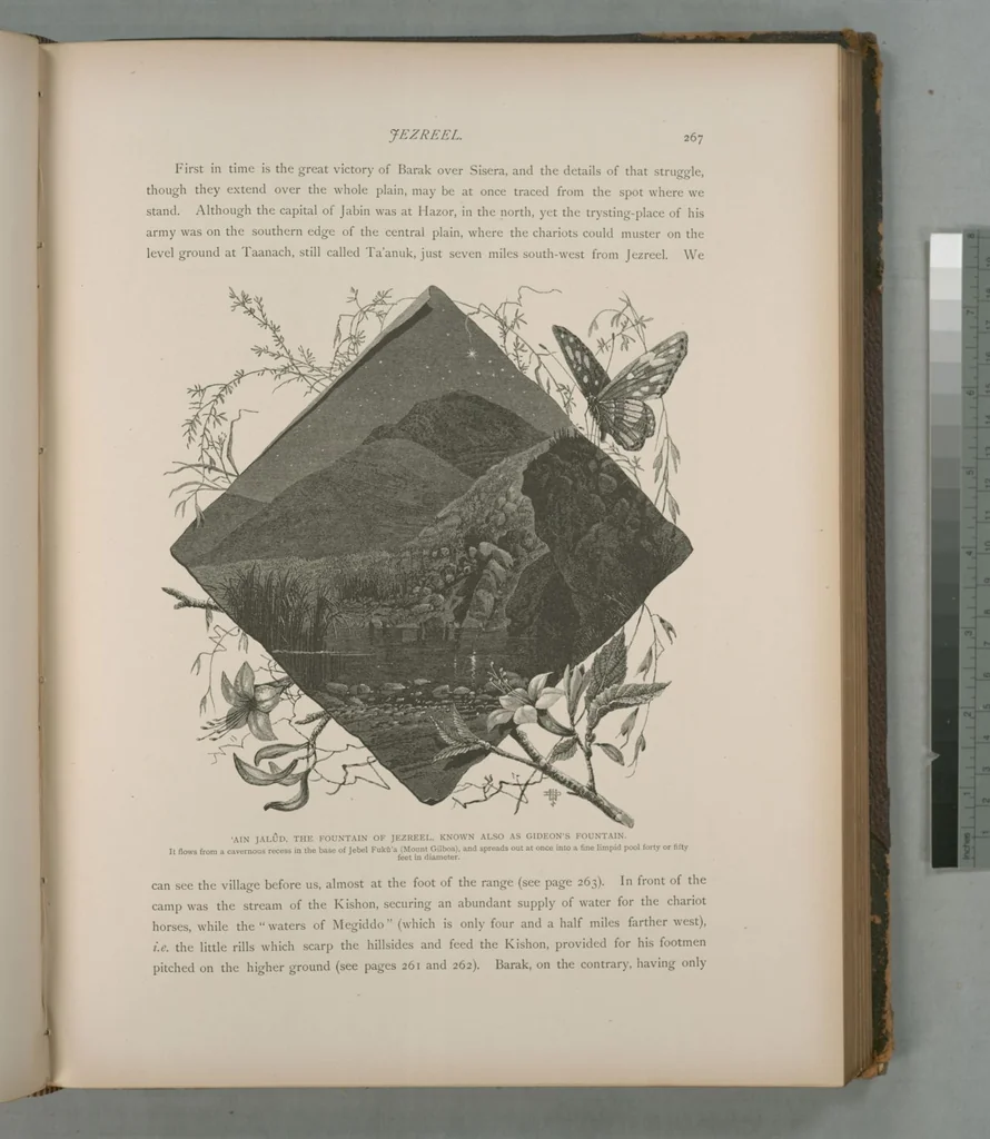 An illustration from Picturesque Palestine, Sinai and Egypt, 1881, leaf 178