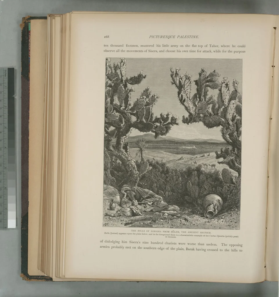 An illustration from Picturesque Palestine, Sinai and Egypt, 1881, leaf 179