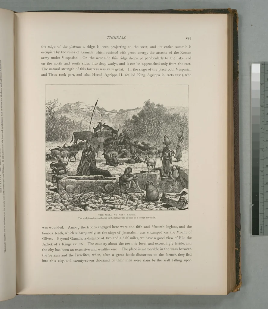 An illustration from Picturesque Palestine, Sinai and Egypt, 1881, leaf 195