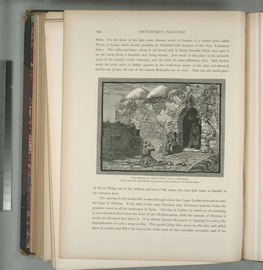 An illustration from Picturesque Palestine, Sinai and Egypt, 1881, leaf 196