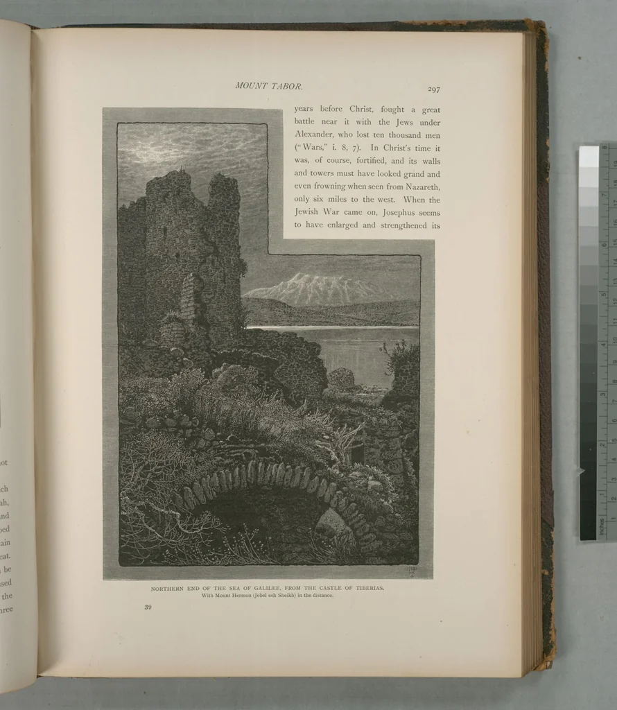 An illustration from Picturesque Palestine, Sinai and Egypt, 1881, leaf 198