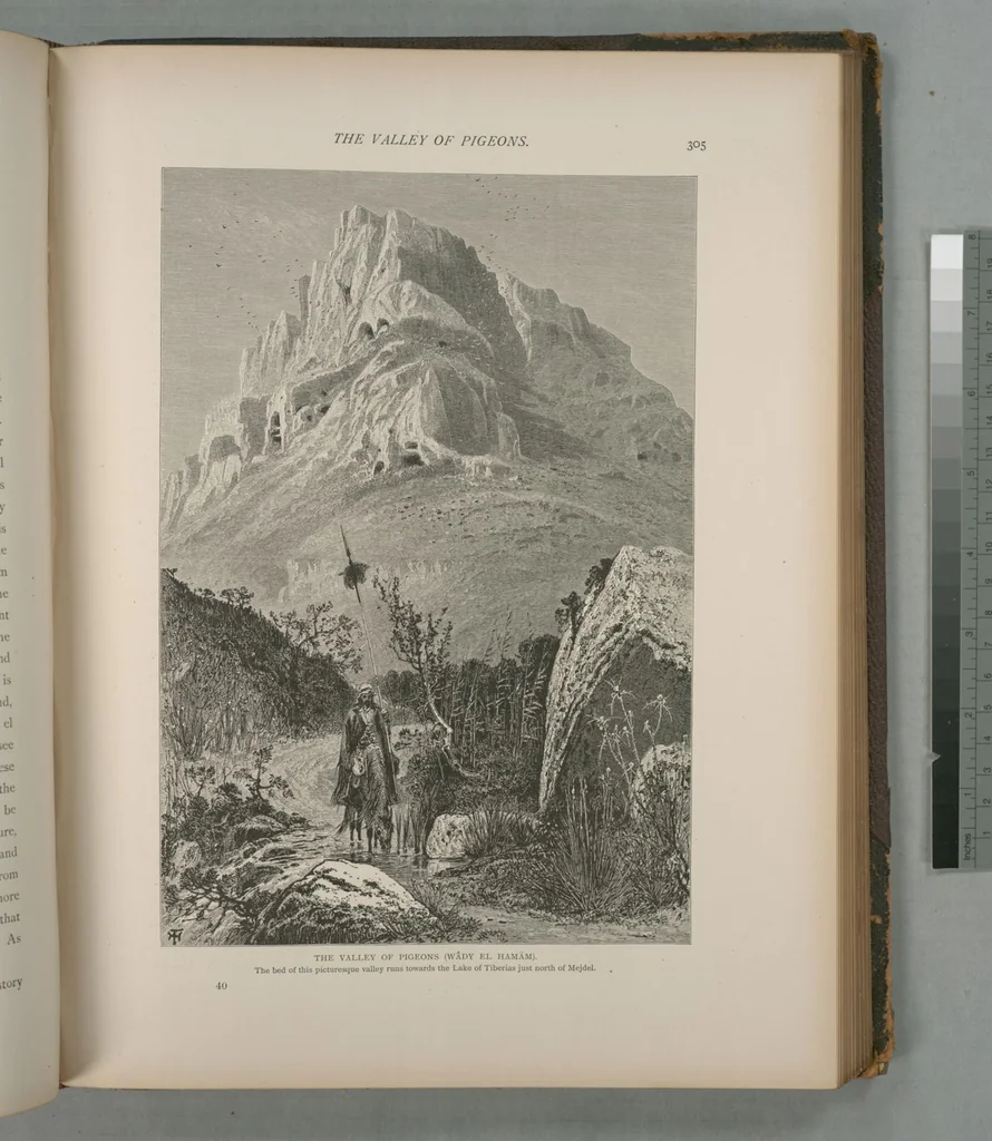 An illustration from Picturesque Palestine, Sinai and Egypt, 1881, leaf 202