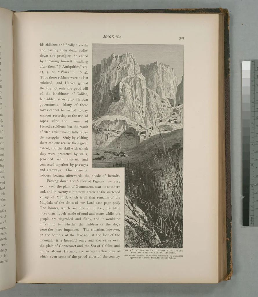 An illustration from Picturesque Palestine, Sinai and Egypt, 1881, leaf 203