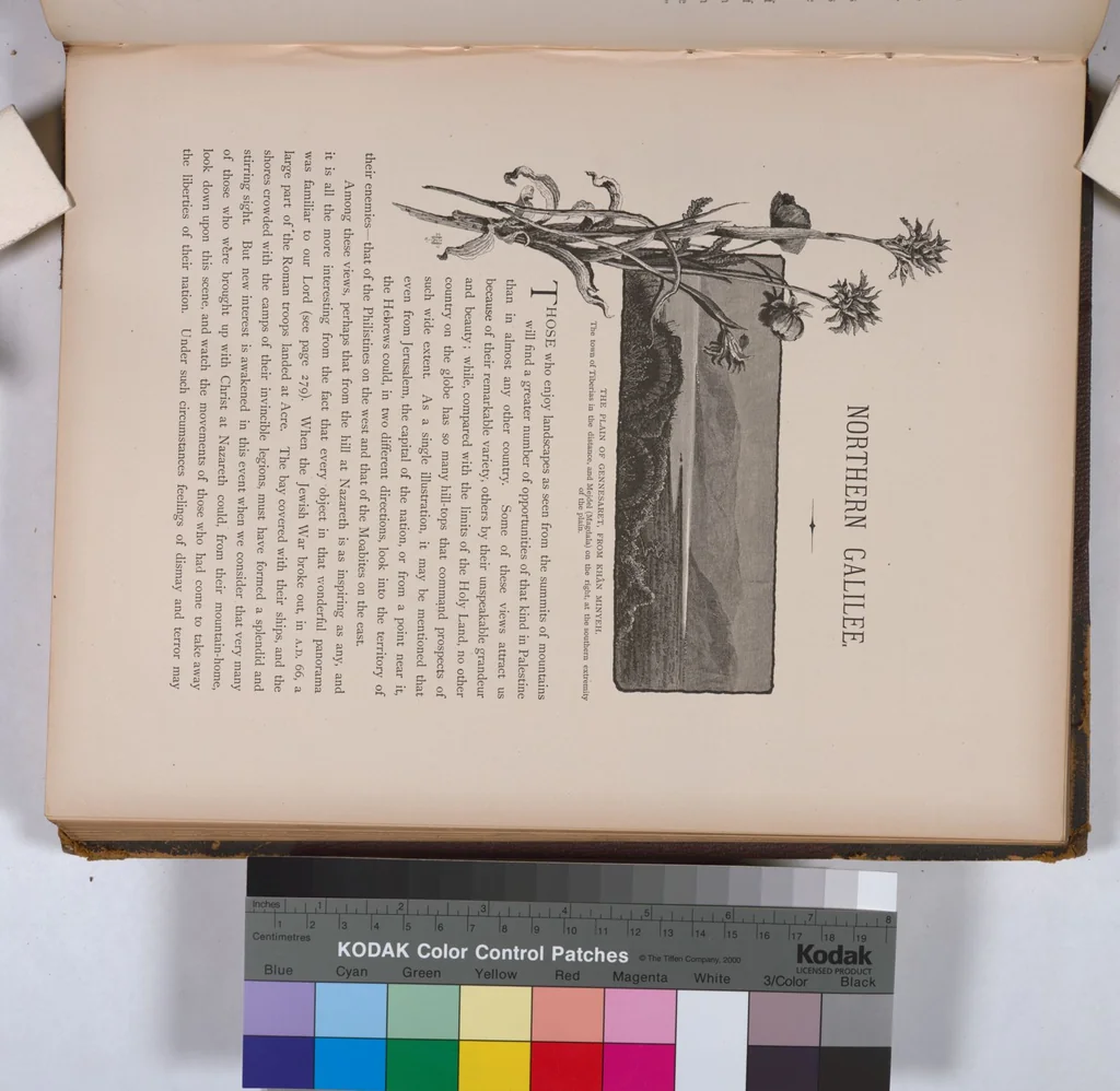 An illustration from Picturesque Palestine, Sinai and Egypt, 1881, leaf 206