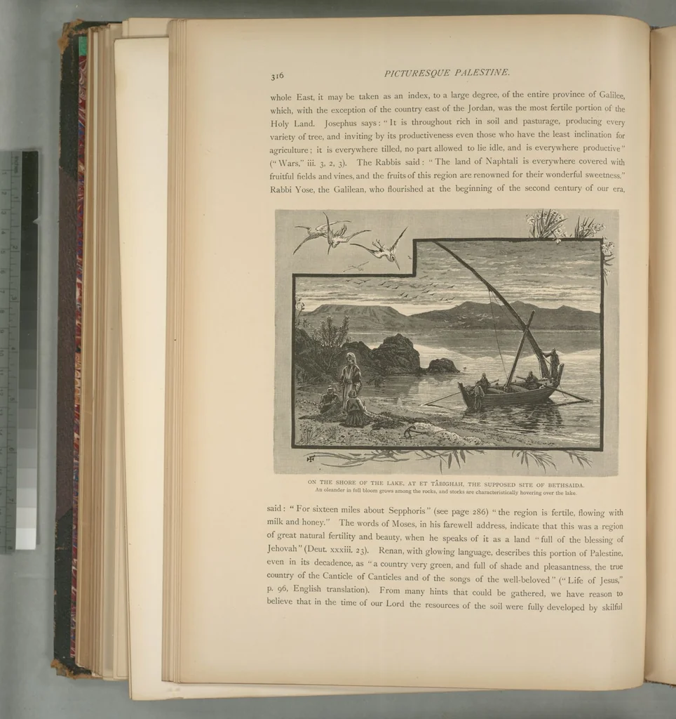 An illustration from Picturesque Palestine, Sinai and Egypt, 1881, leaf 208