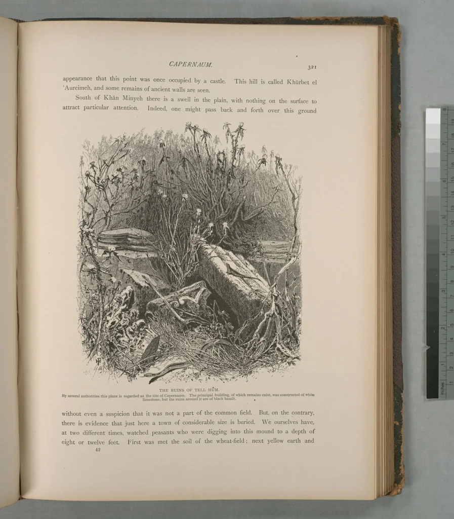 An illustration from Picturesque Palestine, Sinai and Egypt, 1881, leaf 211