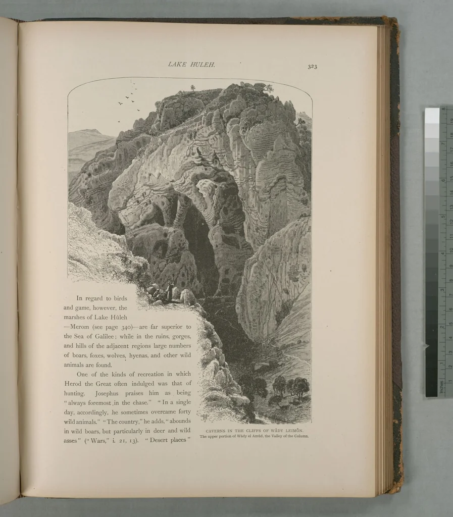An illustration from Picturesque Palestine, Sinai and Egypt, 1881, leaf 212
