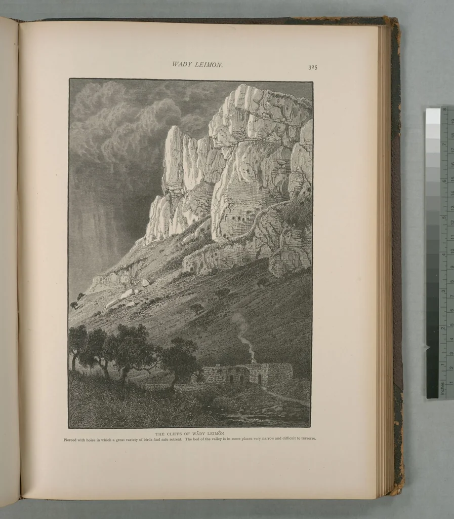 An illustration from Picturesque Palestine, Sinai and Egypt, 1881, leaf 213