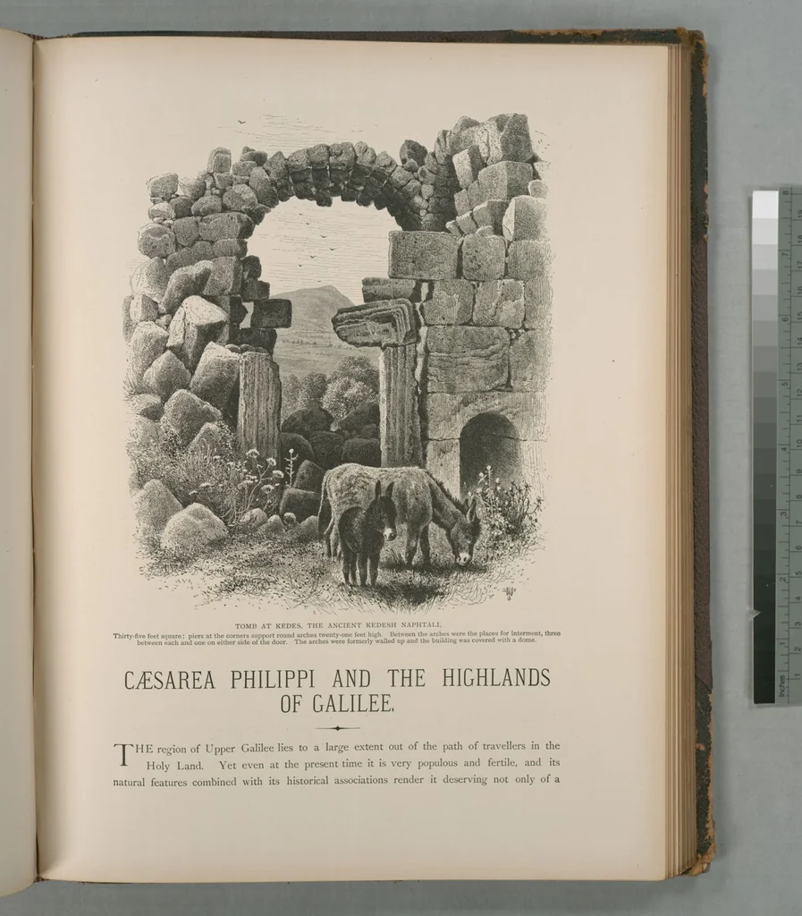 An illustration from Picturesque Palestine, Sinai and Egypt, 1881, leaf 220