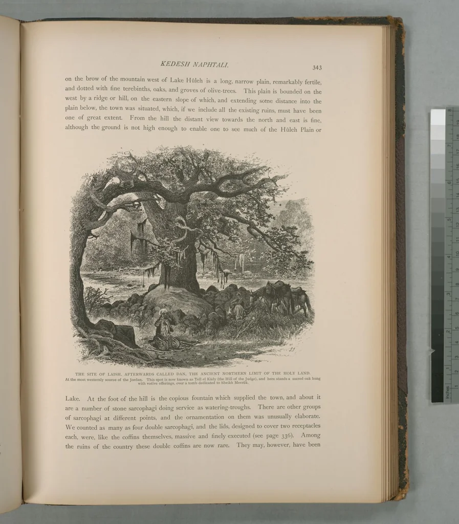 An illustration from Picturesque Palestine, Sinai and Egypt, 1881, leaf 225