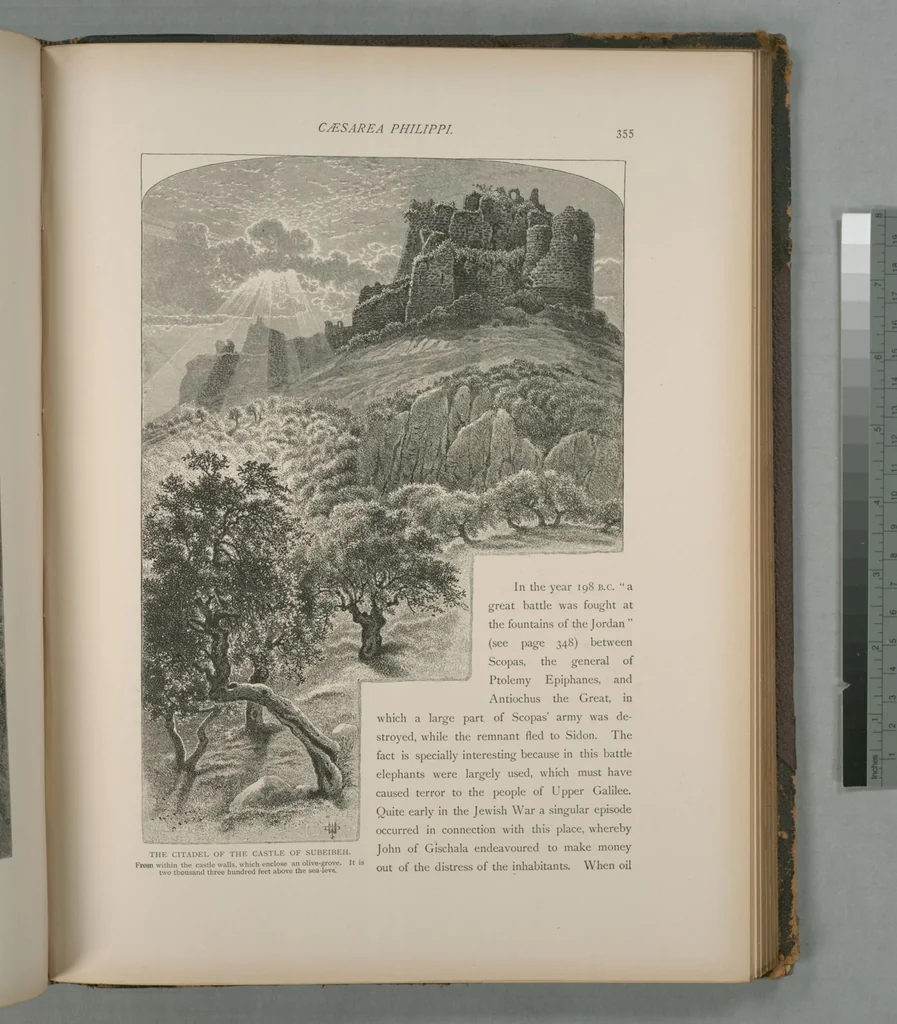 An illustration from Picturesque Palestine, Sinai and Egypt, 1881, leaf 233