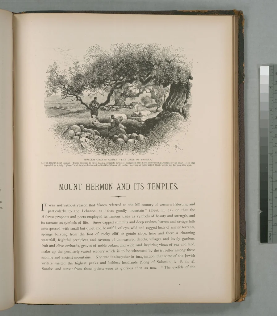 An illustration from Picturesque Palestine, Sinai and Egypt, 1881, leaf 235