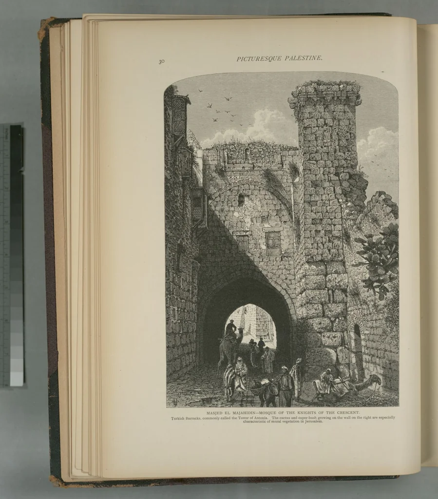 An illustration from Picturesque Palestine, Sinai and Egypt, 1881, leaf 24
