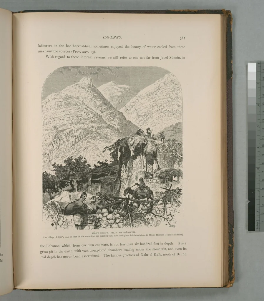 An illustration from Picturesque Palestine, Sinai and Egypt, 1881, leaf 240