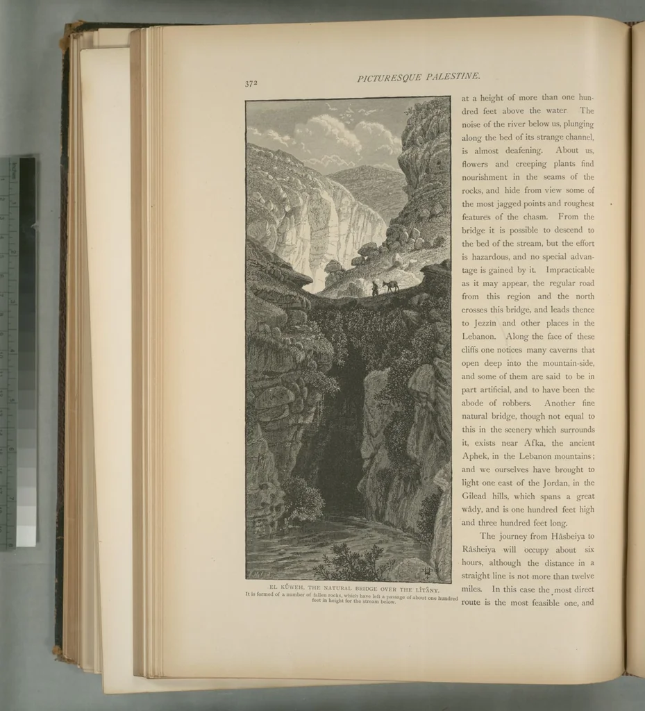 An illustration from Picturesque Palestine, Sinai and Egypt, 1881, leaf 243
