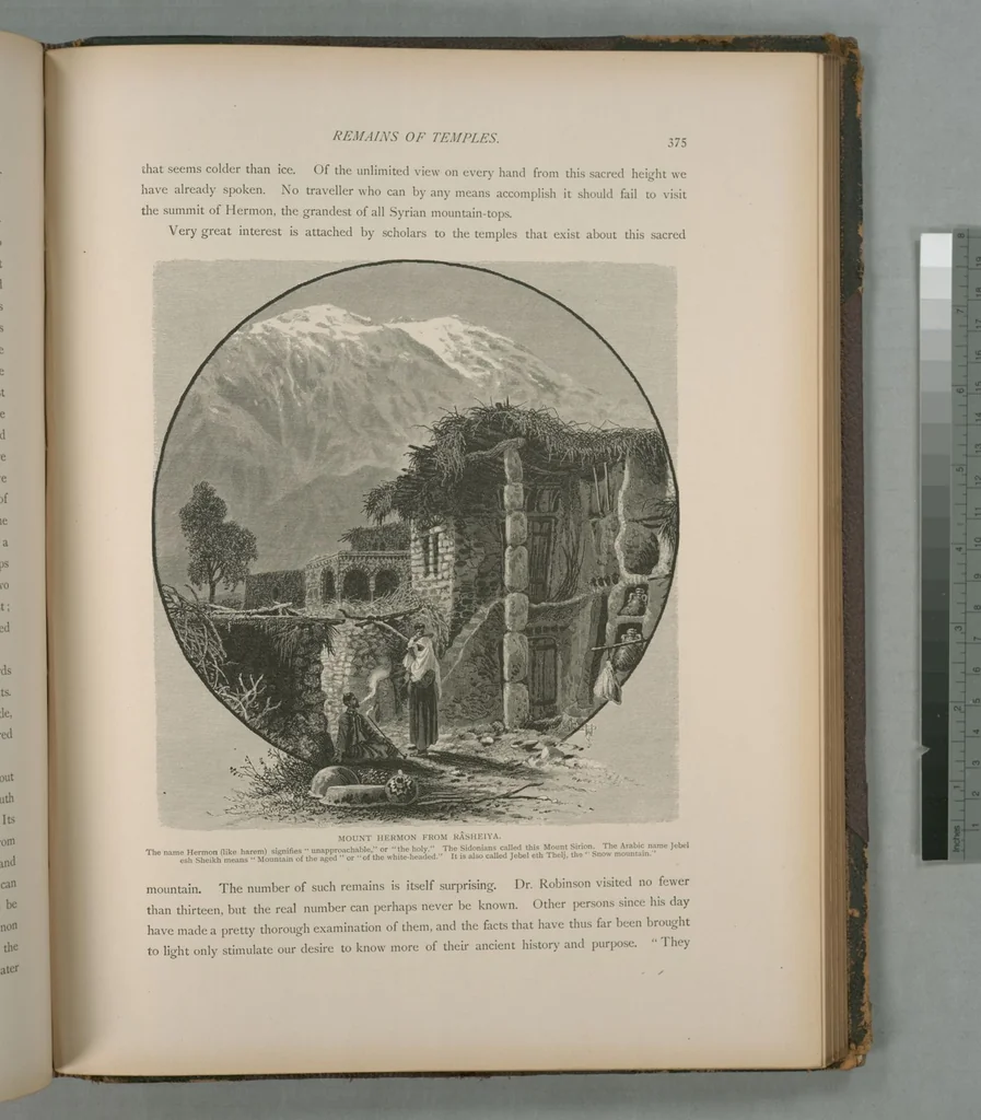 An illustration from Picturesque Palestine, Sinai and Egypt, 1881, leaf 245