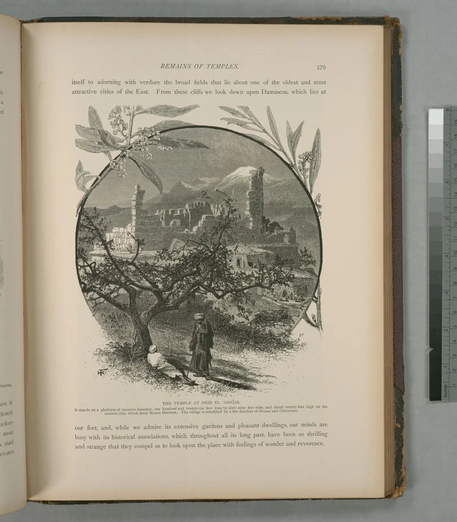 An illustration from Picturesque Palestine, Sinai and Egypt, 1881, leaf 248