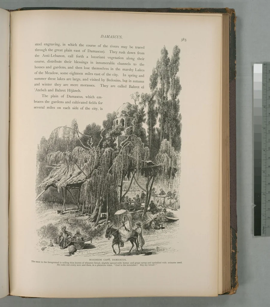 An illustration from Picturesque Palestine, Sinai and Egypt, 1881, leaf 252