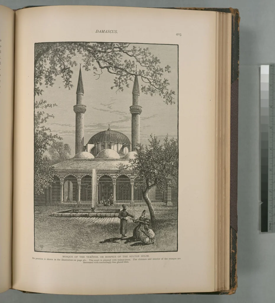 An illustration from Picturesque Palestine, Sinai and Egypt, 1881, leaf 263